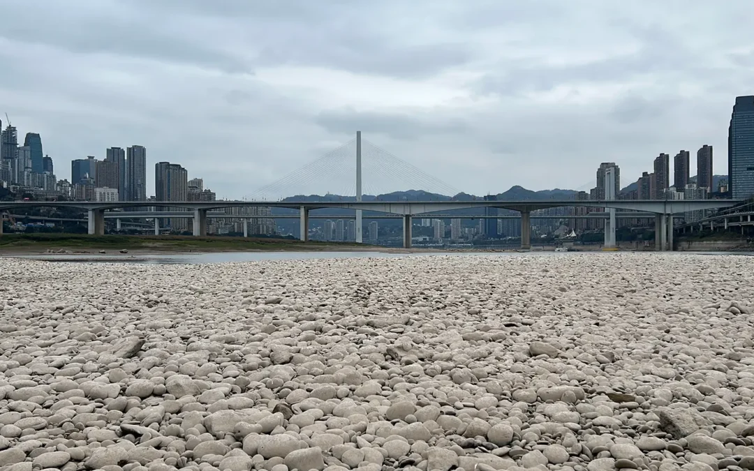 长江江心岛